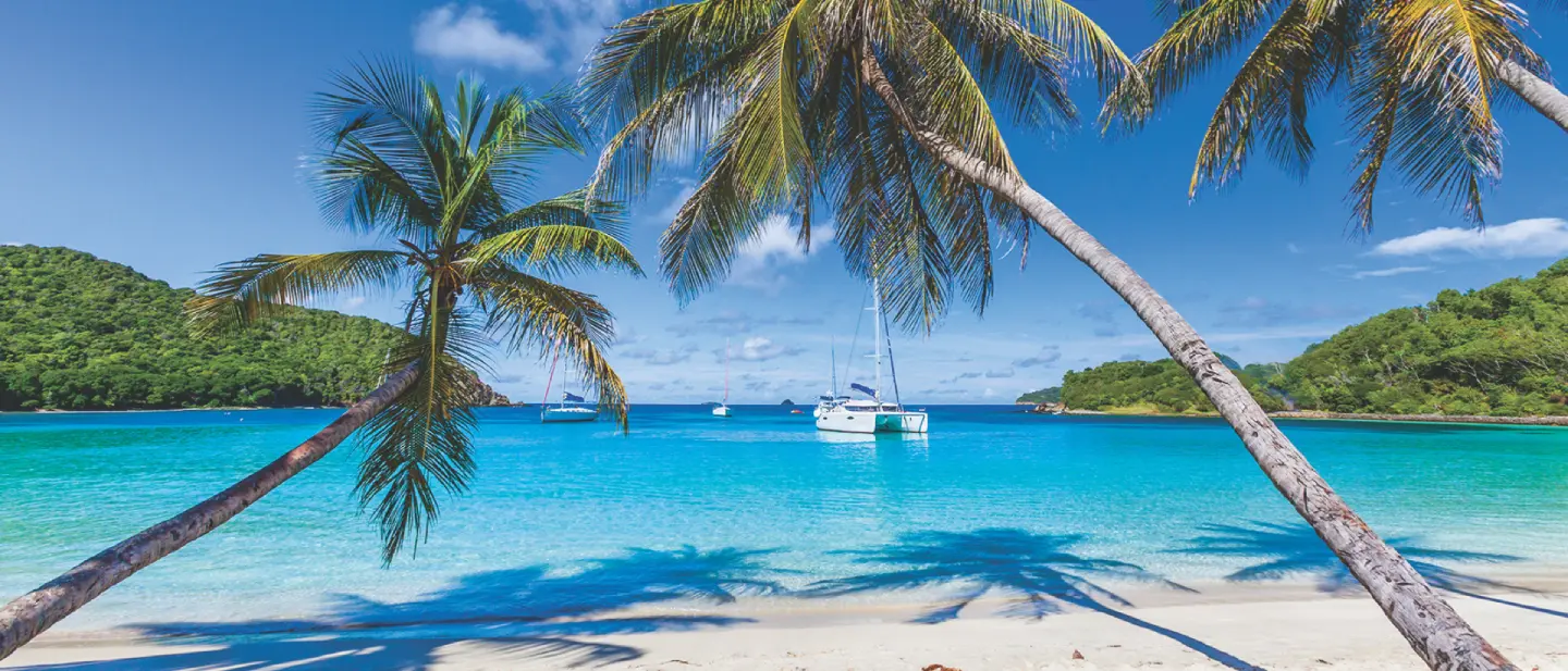 Catamaran charter Martinique